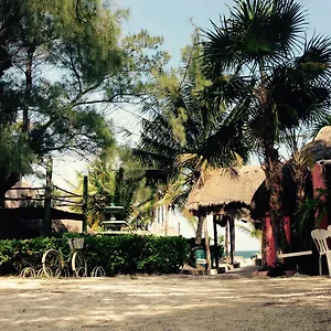 Acamaya Reef *** Puerto Morelos